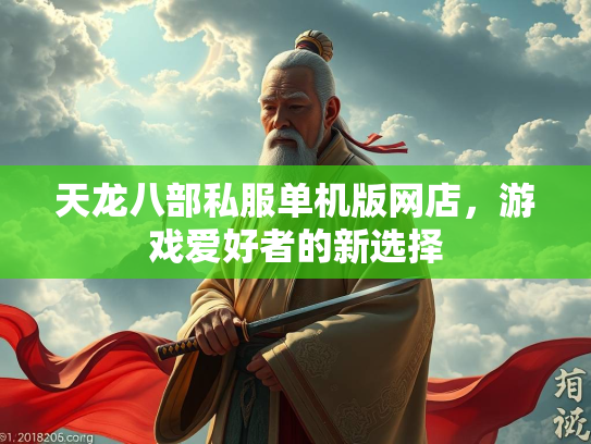 天龙八部私服单机版网店，游戏爱好者的新选择  第2张