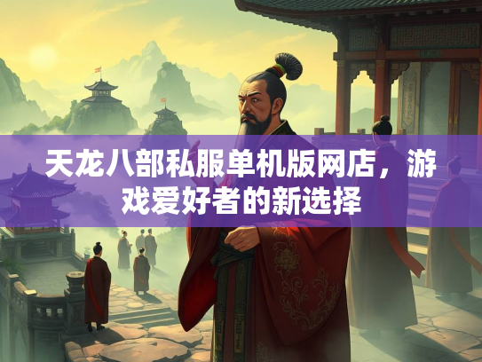 天龙八部私服单机版网店，游戏爱好者的新选择  第3张