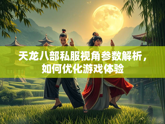 天龙八部私服视角参数解析，如何优化游戏体验  第2张