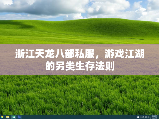 浙江天龙八部私服，游戏江湖的另类生存法则