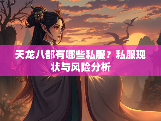 天龙八部有哪些私服？私服现状与风险分析  第2张