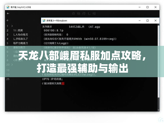 天龙八部峨眉私服加点攻略，打造最强辅助与输出  第2张