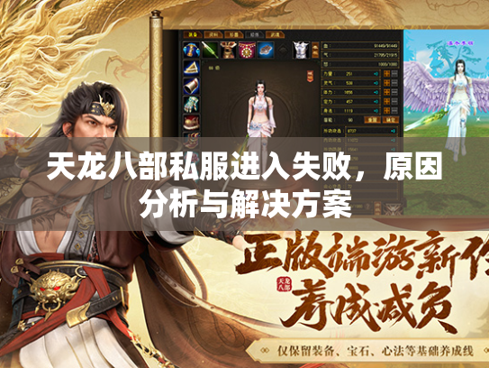 天龙八部私服进入失败，原因分析与解决方案  第1张