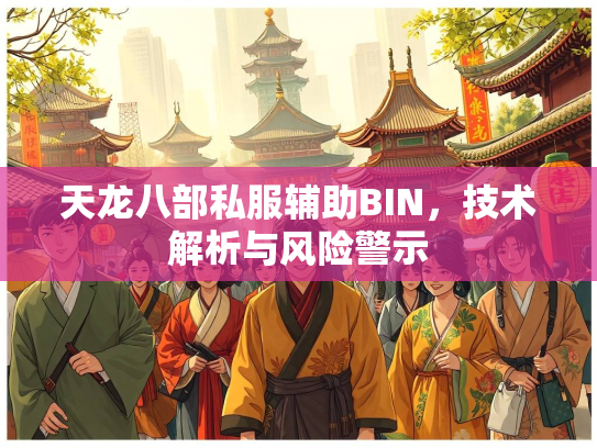 天龙八部私服辅助BIN，技术解析与风险警示  第2张