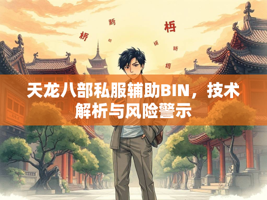 天龙八部私服辅助BIN，技术解析与风险警示  第3张