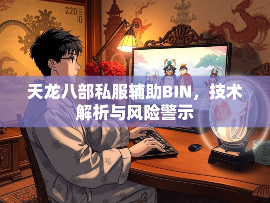 天龙八部私服辅助BIN，技术解析与风险警示