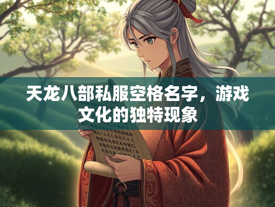 天龙八部私服空格名字，游戏文化的独特现象