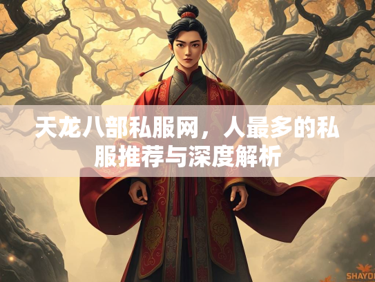 天龙八部私服网，人最多的私服推荐与深度解析  第2张