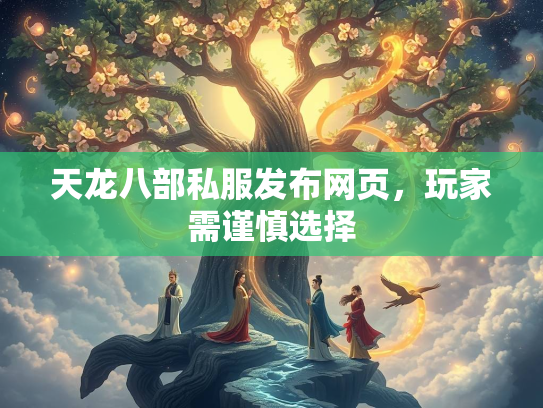 天龙八部私服发布网页，玩家需谨慎选择  第1张