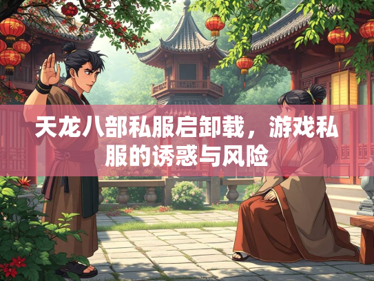 天龙八部私服启卸载，游戏私服的诱惑与风险  第2张