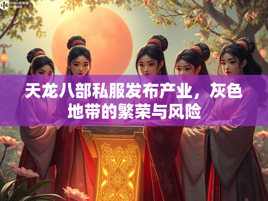 天龙八部私服发布产业，灰色地带的繁荣与风险  第1张