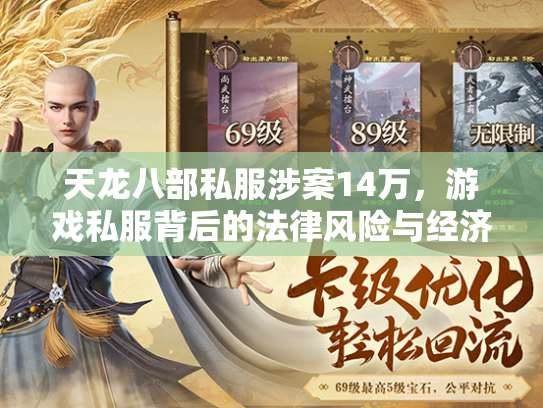 天龙八部私服涉案14万，游戏私服背后的法律风险与经济影响