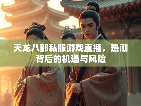 天龙八部私服游戏直播，热潮背后的机遇与风险