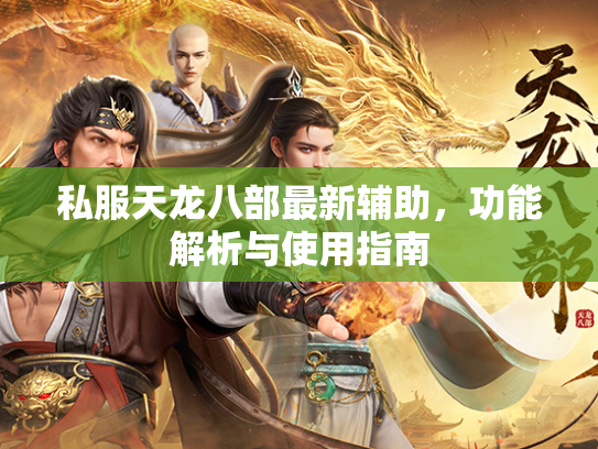 私服天龙八部最新辅助，功能解析与使用指南