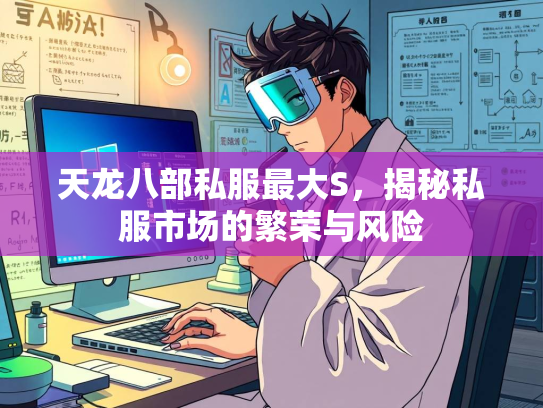 天龙八部私服最大S，揭秘私服市场的繁荣与风险