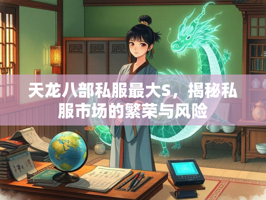 天龙八部私服最大S，揭秘私服市场的繁荣与风险
