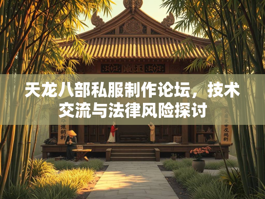 天龙八部私服制作论坛，技术交流与法律风险探讨