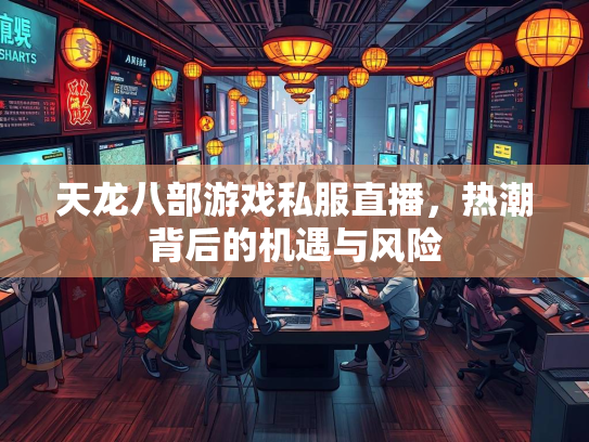 天龙八部游戏私服直播，热潮背后的机遇与风险