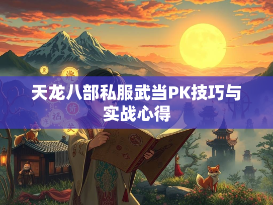 天龙八部私服武当PK技巧与实战心得