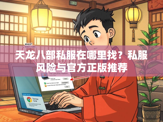 天龙八部私服在哪里找？私服风险与官方正版推荐  第3张