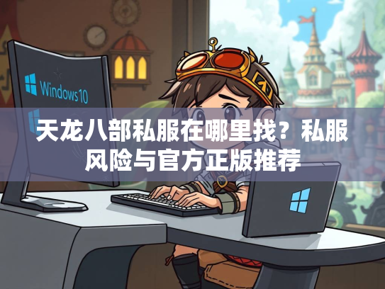 天龙八部私服在哪里找？私服风险与官方正版推荐