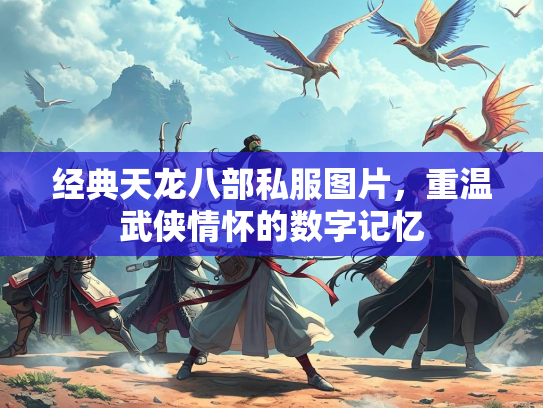 经典天龙八部私服图片，重温武侠情怀的数字记忆  第3张