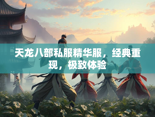 天龙八部私服精华服，经典重现，极致体验  第3张