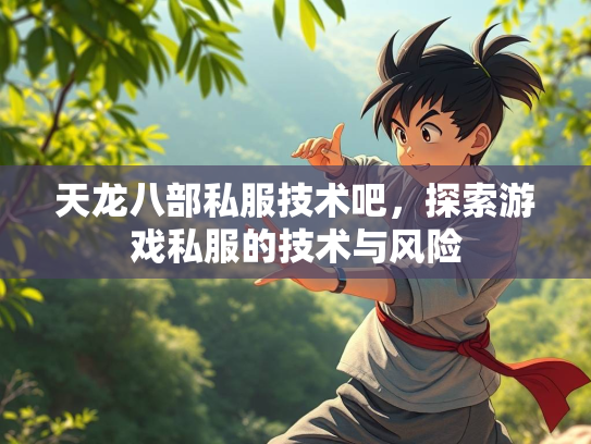 天龙八部私服技术吧，探索游戏私服的技术与风险  第2张