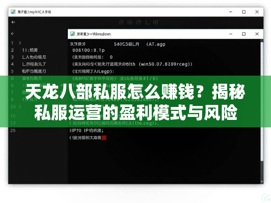 天龙八部私服怎么赚钱？揭秘私服运营的盈利模式与风险