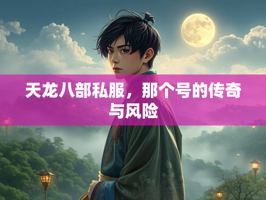 天龙八部私服，那个号的传奇与风险  第2张