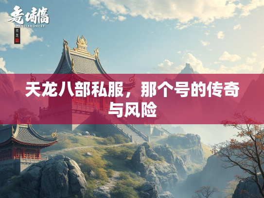 天龙八部私服，那个号的传奇与风险