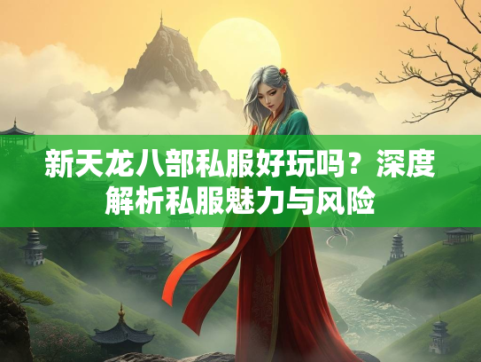 新天龙八部私服好玩吗？深度解析私服魅力与风险  第2张