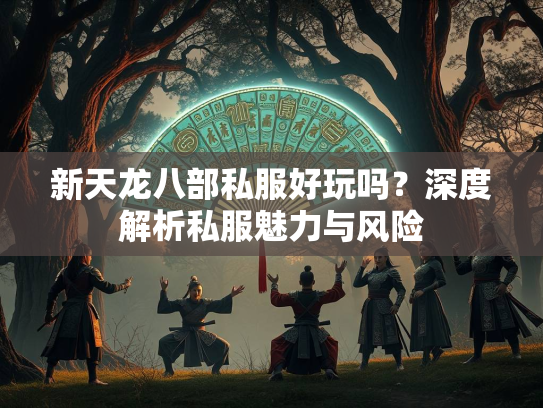 新天龙八部私服好玩吗？深度解析私服魅力与风险  第3张