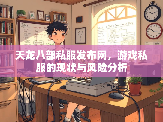 天龙八部私服发布网，游戏私服的现状与风险分析