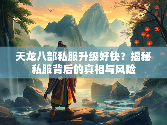 天龙八部私服升级好快？揭秘私服背后的真相与风险  第2张