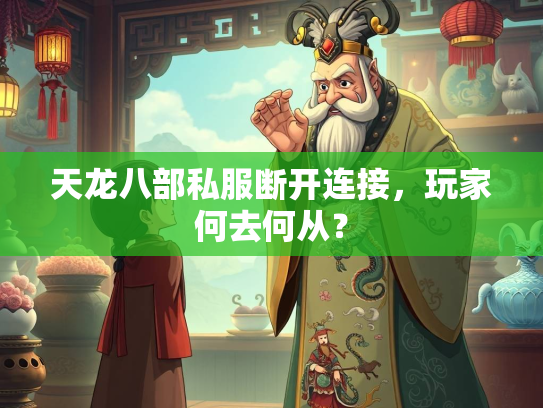 天龙八部私服断开连接，玩家何去何从？  第2张