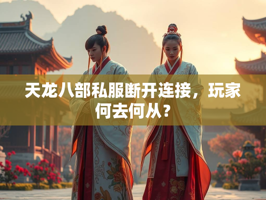 天龙八部私服断开连接，玩家何去何从？
