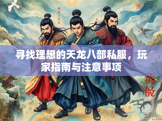 寻找理想的天龙八部私服，玩家指南与注意事项