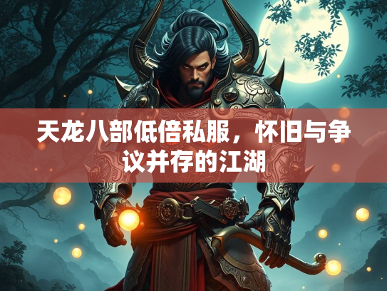天龙八部低倍私服，怀旧与争议并存的江湖