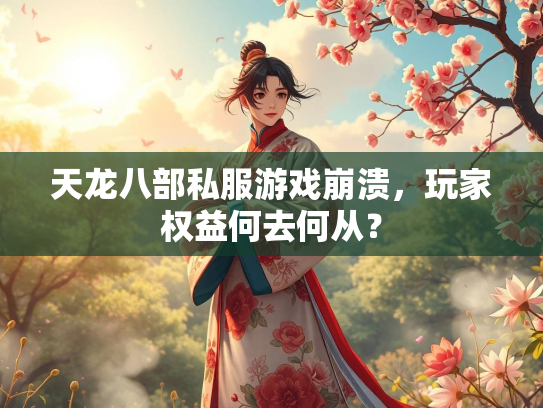 天龙八部私服游戏崩溃，玩家权益何去何从？  第2张