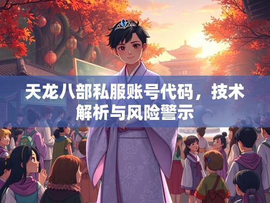 天龙八部私服账号代码，技术解析与风险警示