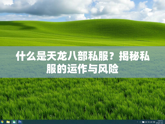 什么是天龙八部私服？揭秘私服的运作与风险