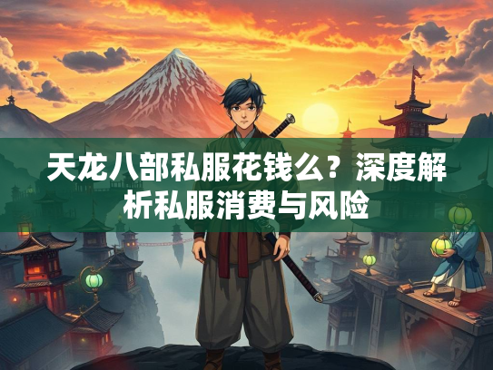 天龙八部私服花钱么？深度解析私服消费与风险  第2张