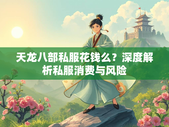 天龙八部私服花钱么？深度解析私服消费与风险