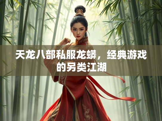 天龙八部私服龙蟒，经典游戏的另类江湖  第1张