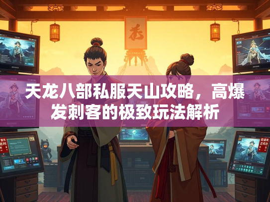 天龙八部私服天山攻略，高爆发刺客的极致玩法解析  第2张