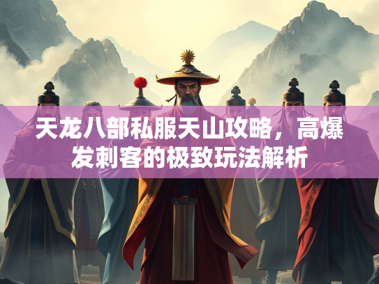 天龙八部私服天山攻略，高爆发刺客的极致玩法解析  第3张
