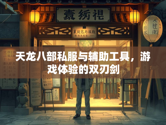 天龙八部私服与辅助工具，游戏体验的双刃剑  第3张