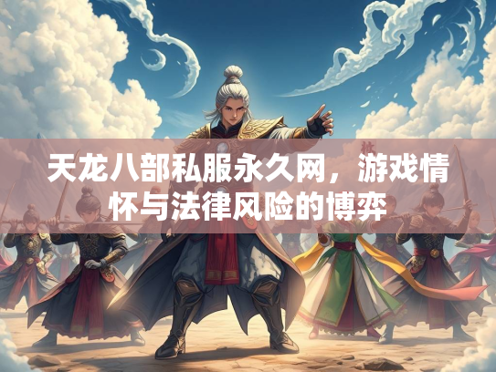 天龙八部私服永久网，游戏情怀与法律风险的博弈