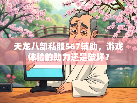 天龙八部私服567辅助，游戏体验的助力还是破坏？  第3张